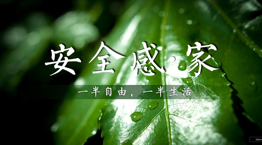 新西兰Z6尊龙集团官方网站板材让你住个有安全感的家