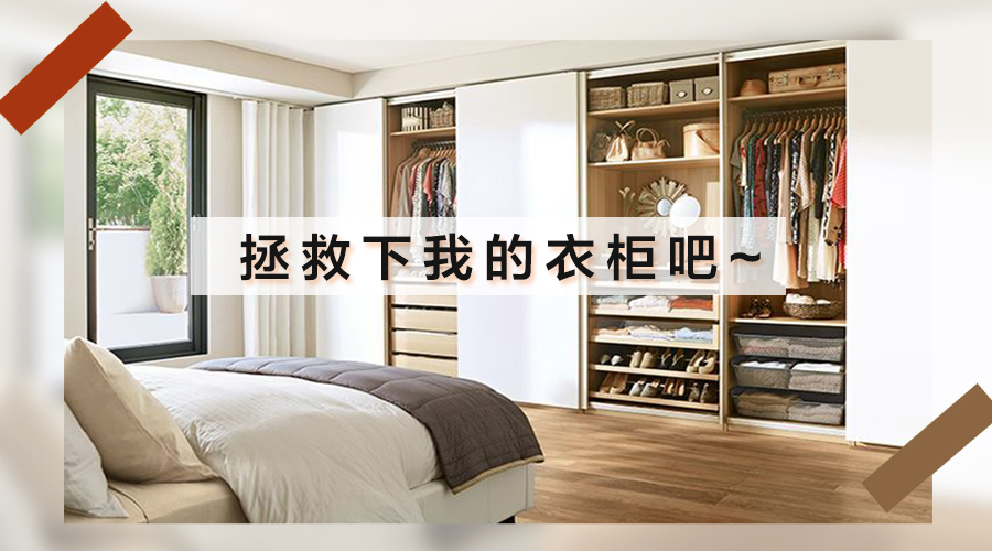 新西兰Z6尊龙集团官方网站板材